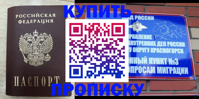 прописка гарантия в Мончегорске